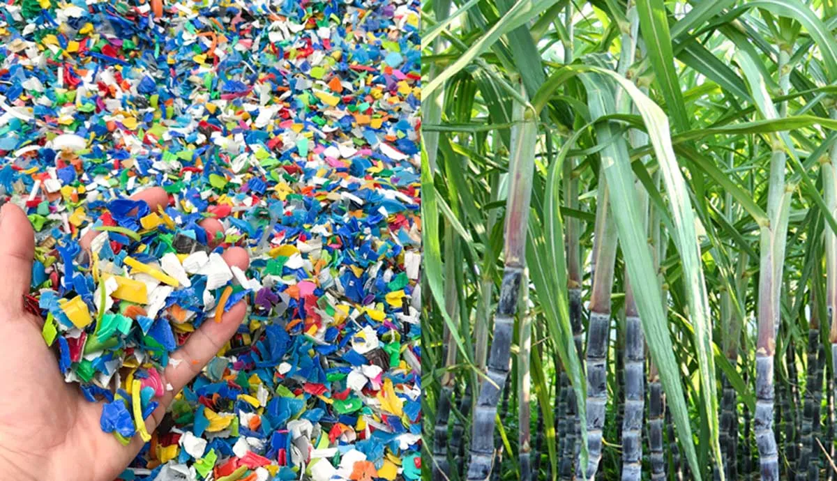 Collage of plastic debris and bamboo trees