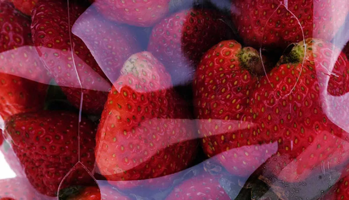 Strawberries in packaging film
